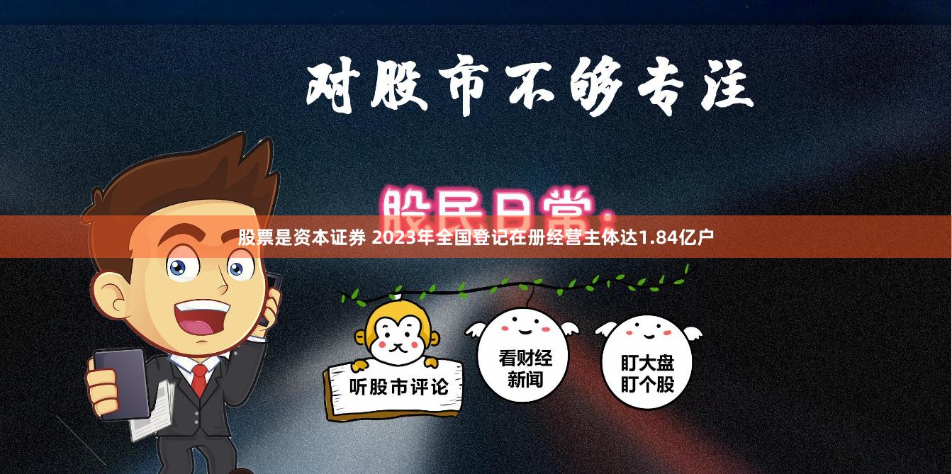 股票是资本证券 2023年全国登记在册经营主体达1.84亿户