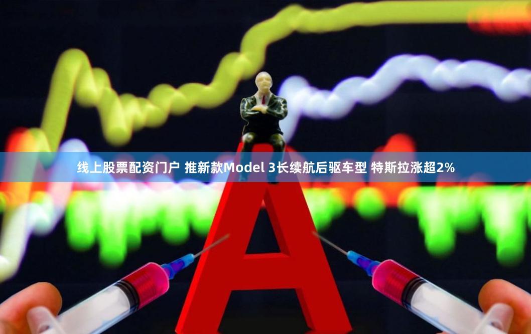 线上股票配资门户 推新款Model 3长续航后驱车型 特斯拉涨超2%