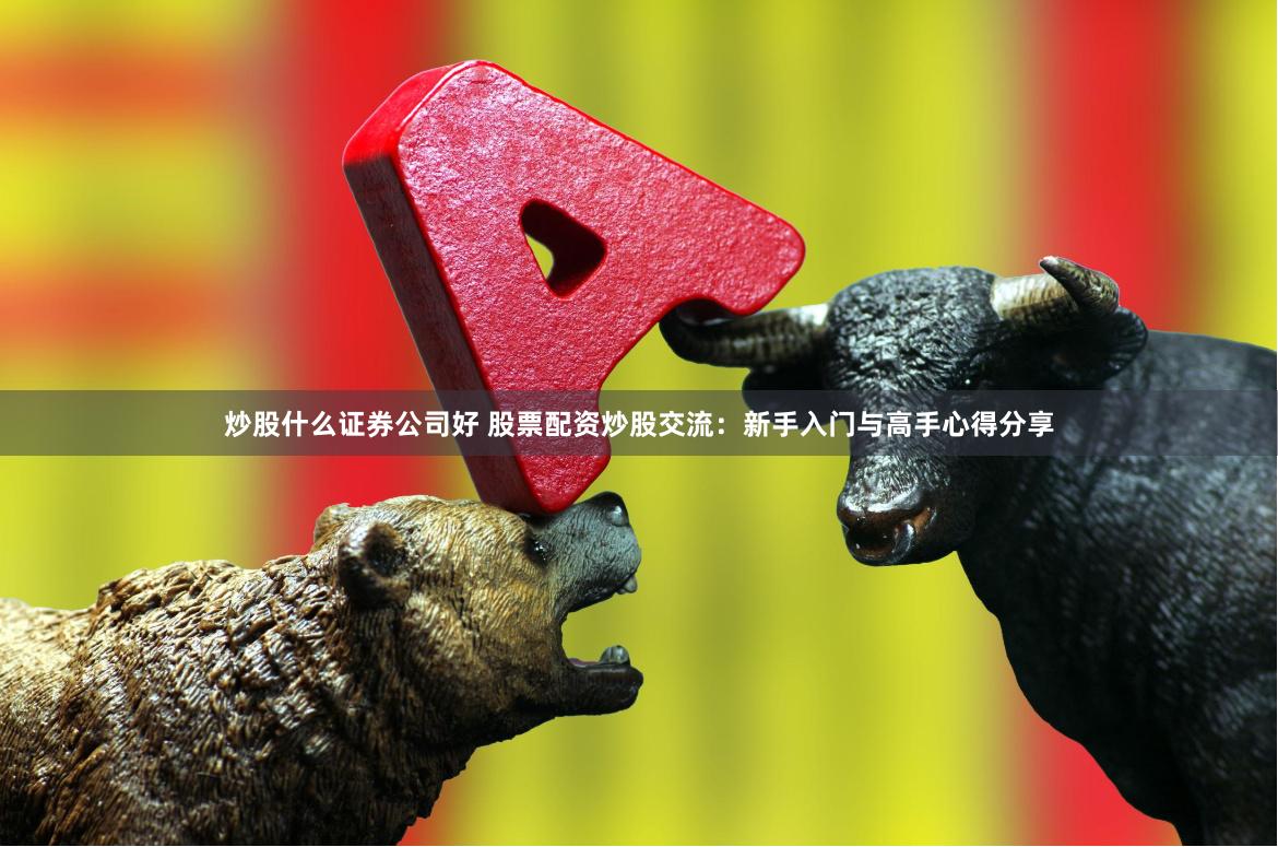 炒股什么证券公司好 股票配资炒股交流：新手入门与高手心得分享