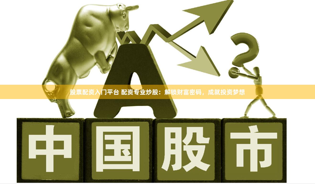 股票配资入门平台 配资专业炒股：解锁财富密码，成就投资梦想